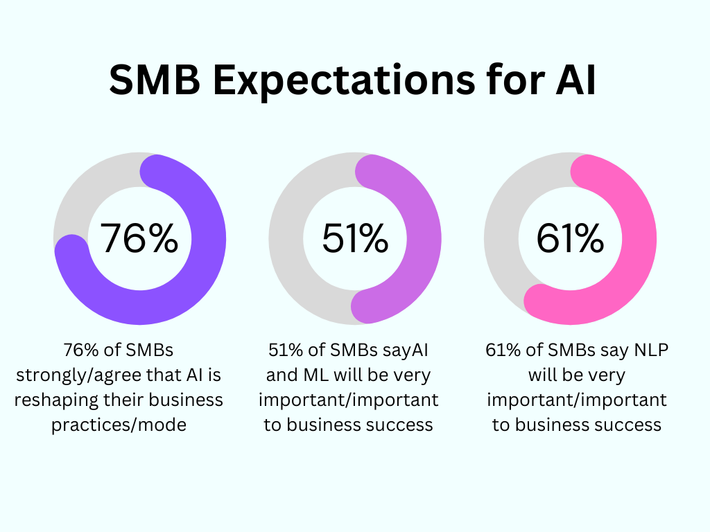 SMB Expectations for AI